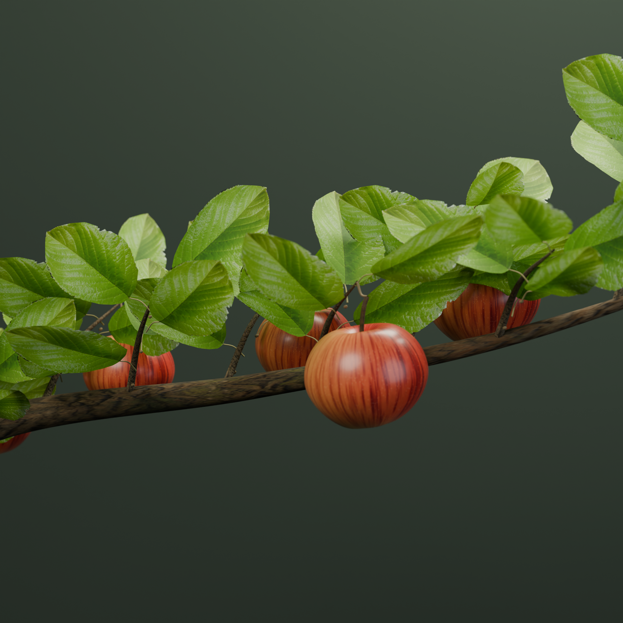 Fruiting apple branch with photographed leaf and fruit surfaces