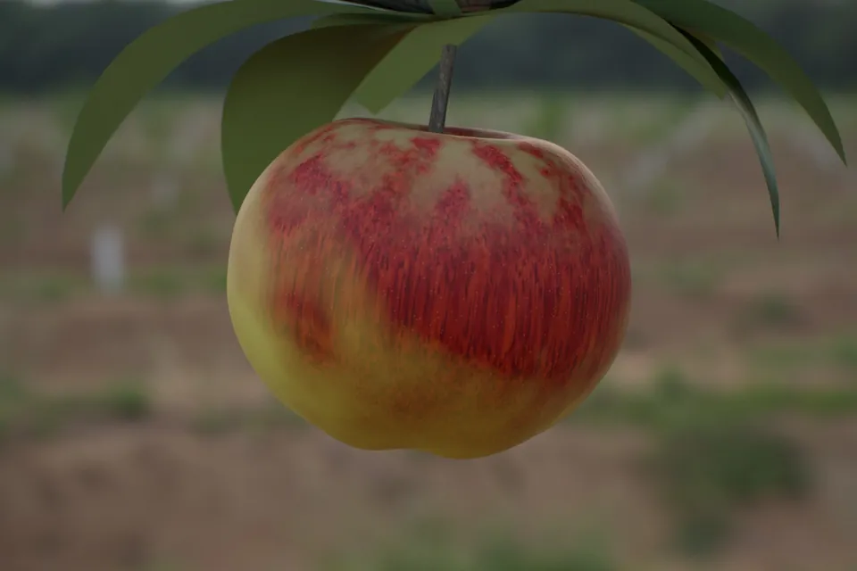 Rendered russeted apple