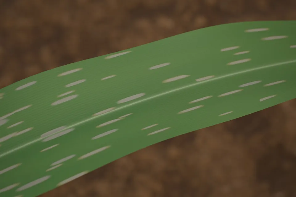 Rendered corn leaf with gray leaf spot