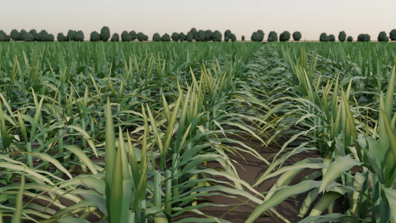Rendered corn rows with a patch of yellowing, nitrogen-deficient plants